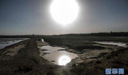 绿洲在线观看,探索未知世界的奇幻之旅