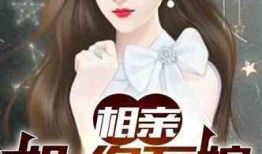 娱乐圈爆料雪莉小说,雪莉小说揭秘不为人知的情感纠葛